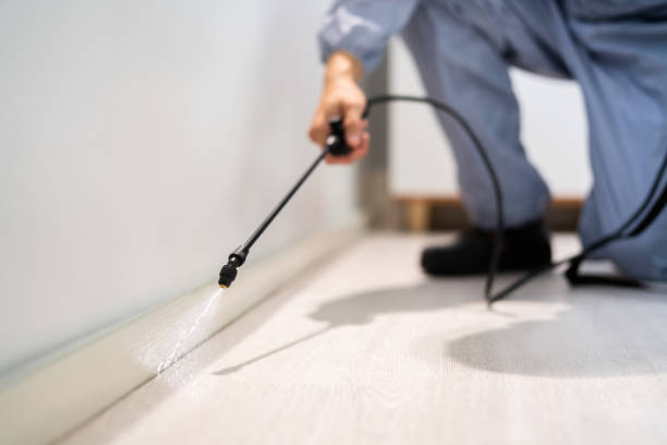 Licensed Pest Control service in Fair Oaks, VA - Show Me Pest Control