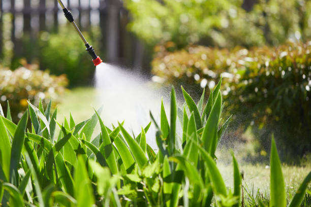 24/7 Emergency Mosquito Control experts in Fair Oaks, VA