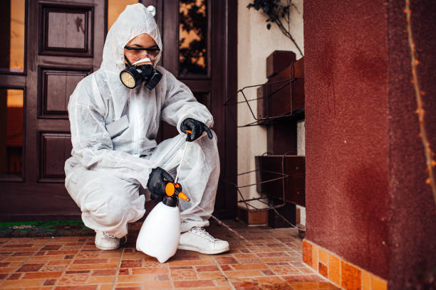 Reliable Mosquito Control contractor in Fair Oaks, VA by Show Me Pest Control